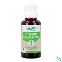 Load image into Gallery viewer, Herbalgem Blauw Bosbes Bio 30ml