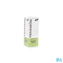 Load image into Gallery viewer, Pranarom Eo Bergthee Bio 10ml