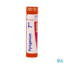 Afbeelding in Gallery-weergave laden, Pyrogenium 7ch Gr 4g Boiron