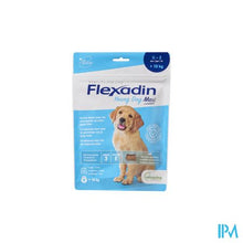 Afbeelding in Gallery-weergave laden, Flexadin Young Dog Maxi Chew 60