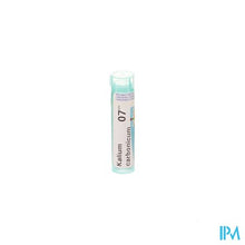 Afbeelding in Gallery-weergave laden, Kalium Carbonicum 7ch Gr 4g Boiron