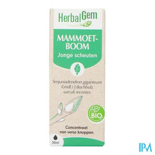 Load image into Gallery viewer, Herbalgem Mammoetboom Bio 30ml