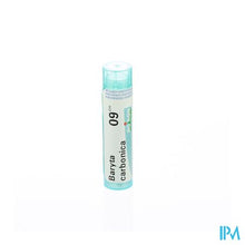 Load image into Gallery viewer, Baryta Carbonicum 9ch Gr 4g Boiron