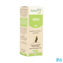 Charger l'image dans la galerie, Herbalgem Es Maceraat 50ml