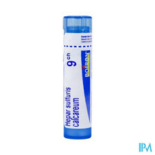 Afbeelding in Gallery-weergave laden, Hepar Sulfuris Calcareum 9ch Gr 4g Boiron