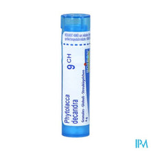Afbeelding in Gallery-weergave laden, Phytolacca Decandra 9ch Gr 4g Boiron
