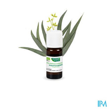 Charger l'image dans la galerie, Phytosun Euc. Radiata Fr-bio-01 10ml