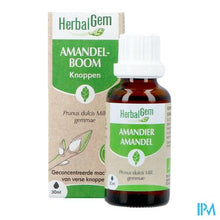 Afbeelding in Gallery-weergave laden, Herbalgem Amandel Bio 30ml