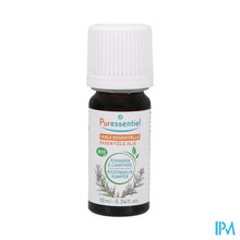 Charger l'image dans la galerie, Puressentiel Eo Rozemar.kamf.bio Exp. 10ml