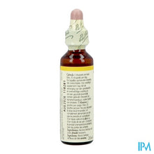 Charger l'image dans la galerie, Bach Flower Remedie 36 Wild Oat 20ml