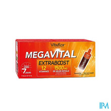 Afbeelding in Gallery-weergave laden, Vitaflor Megavital Extraboost Amp 7x10ml