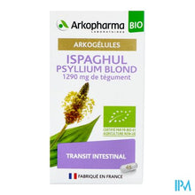 Load image into Gallery viewer, Arkogelules Ispaghul Psyllium Blond Bio Caps 45