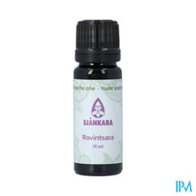 Afbeelding in Gallery-weergave laden, Sjankara Ravintsara Ess. Olie Bio 11ml