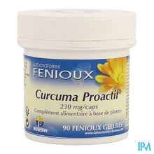 Load image into Gallery viewer, Curcuma Proactif Caps 90