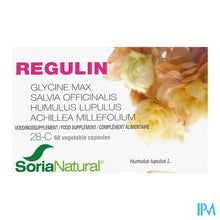 Load image into Gallery viewer, Soria Soricapsule Composed N28-c Regulin 60 10028