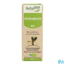 Charger l'image dans la galerie, Herbalgem Hondsroos Maceraat 50ml