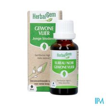 Load image into Gallery viewer, Herbalgem Vlier Bio 30ml