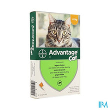 Afbeelding in Gallery-weergave laden, Advantage 40 Katten <4kg 4x0,4ml