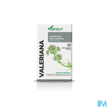 Afbeelding in Gallery-weergave laden, Soria 34-s Valeriana Xxi Caps 30