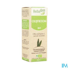 Afbeelding in Gallery-weergave laden, Herbalgem Olijfboom Maceraat 50ml