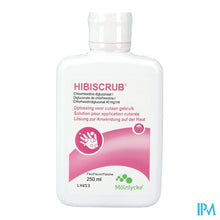 Load image into Gallery viewer, Hibiscrub Zeep Antisept. 250ml