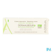 Load image into Gallery viewer, Aderma Dermalibour Creme Tube 100ml