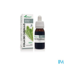 Charger l'image dans la galerie, Soria Equisetum Arvense Xxi Extr. Fl. 50ml