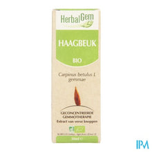 Charger l'image dans la galerie, Herbalgem Haagbeuk Maceraat 50ml