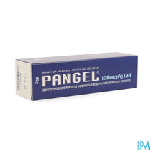 Afbeelding in Gallery-weergave laden, Pangel 10% Gel Tube 60g Nf