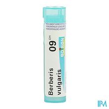Afbeelding in Gallery-weergave laden, Berberis Vulgaris 9ch Gr 4g Boiron