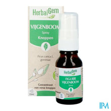 Charger l'image dans la galerie, Herbalgem Vijgenboom Bio Spray 15ml