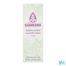 Afbeelding in Gallery-weergave laden, Sjankara Spijklavendel Ess. Olie Bio 11ml