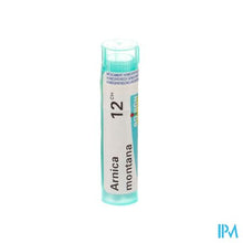 Load image into Gallery viewer, Arnica Montana 12ch Gr 4g Boiron
