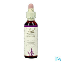 Afbeelding in Gallery-weergave laden, Bach Flower Remedie 14 Heather 20ml
