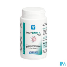 Afbeelding in Gallery-weergave laden, Ergycartil Plus Gel 90