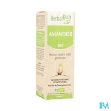 Charger l'image dans la galerie, Herbalgem Amandel Maceraat 50ml