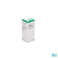 Afbeelding in Gallery-weergave laden, Melilotus-homacc. N Gutt 30ml Heel