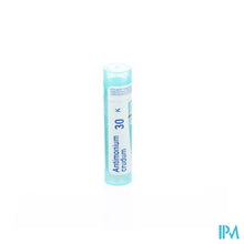 Charger l'image dans la galerie, Antimonium Crudum 30k Gr 4g Boiron