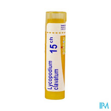 Load image into Gallery viewer, Lycopodium Clavatum 15ch Gr 4g Boiron