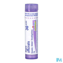 Afbeelding in Gallery-weergave laden, Sepia Officinalis 30ch Gr 4g Boiron