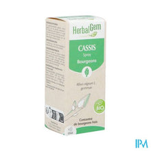 Afbeelding in Gallery-weergave laden, Herbalgem Zwarte Bes Bio Spray 15ml