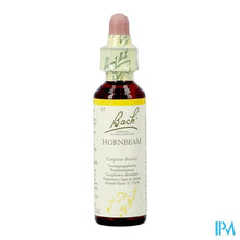 Charger l'image dans la galerie, Bach Flower Remedie 17 Hornbeam 20ml