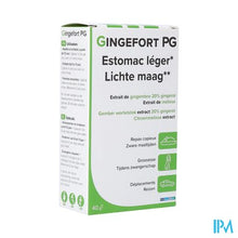 Charger l'image dans la galerie, Gingefort Pg Pharmagenerix Caps 40