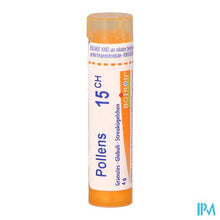 Afbeelding in Gallery-weergave laden, Pollens 15ch Gr 4g Boiron