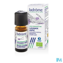 Afbeelding in Gallery-weergave laden, Ladrome Lavandula Latifolia/spijklavendel 10ml