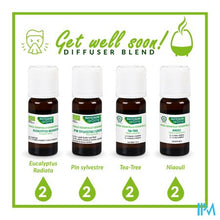 Afbeelding in Gallery-weergave laden, Phytosun Niaouli Eco 10ml
