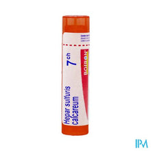 Afbeelding in Gallery-weergave laden, Hepar Sulfuris Calcareum 7ch Gr 4g Boiron