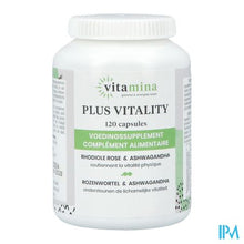 Load image into Gallery viewer, Vita Mina Plus Vitality Caps 120