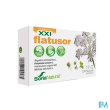 Afbeelding in Gallery-weergave laden, Soria Soricapsule Composed N17-c Flatusor Xxi 30