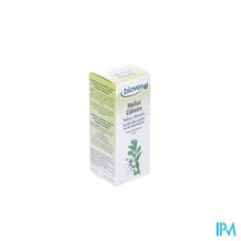 Afbeelding in Gallery-weergave laden, Citroenmelisse Tinct Bio 50ml Biov